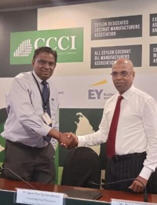 Ceylon Chamber of Coconut Inaugurated to Transform SL's Coconut Industry 3