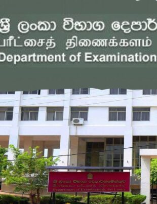 Examinations Department Sri Lanka