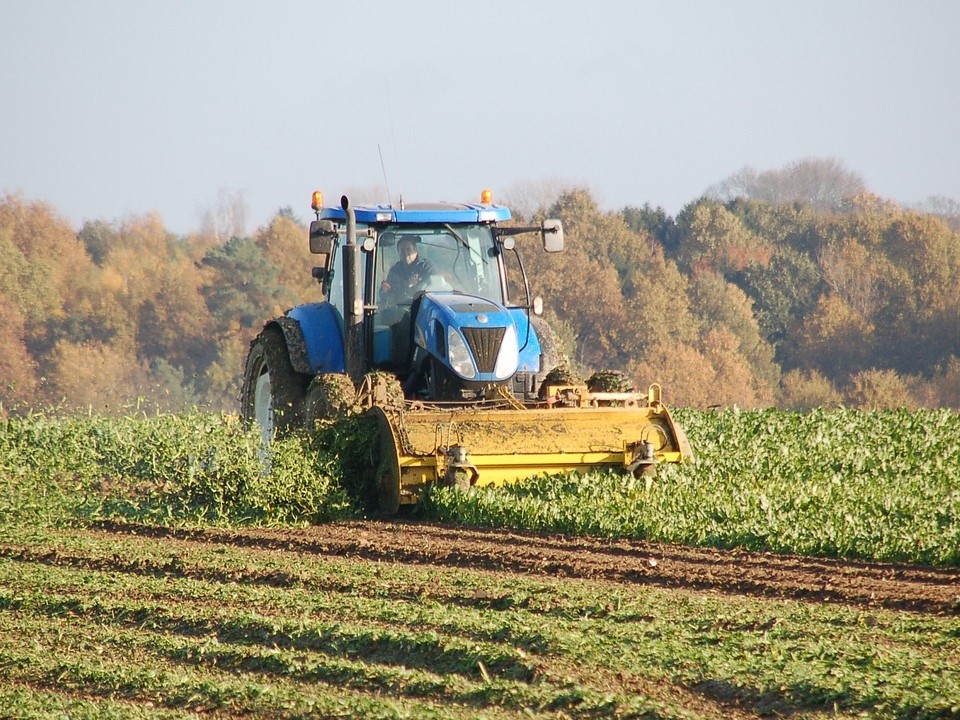 Agricultural Land - BusinessNews.LK