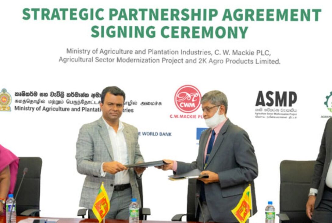 C. W. Mackie PLC Signs a Strategic Partnership Agreement in Support of Contributing to the National Agro-Economy with Jumbo Peanut Project - BusinessNews.LK