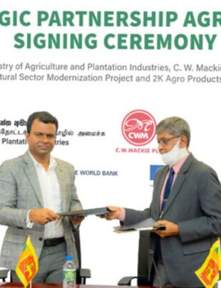 C. W. Mackie PLC Signs a Strategic Partnership Agreement in Support of Contributing to the National Agro-Economy with Jumbo Peanut Project - BusinessNews.LK