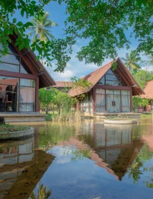 Celestia Ayurvedic Resort - BusinessNews.LK