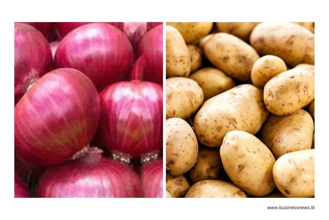 Onion and Potato - BusinessNews.LK