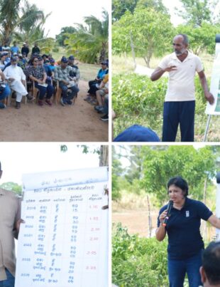 South Asian Workshop Participants on Drought Risk and Mitigation Embark on Exposure Visit to Sri Lanka's Dry Zone – BusinessNews.LK