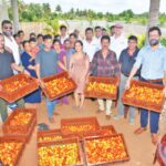 USAID- Cargills partnership drives agricultural innovation with Kist high-tech tomato outgrower project - BusinessNews.LK