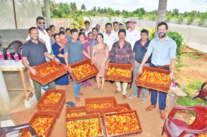 USAID- Cargills partnership drives agricultural innovation with Kist high-tech tomato outgrower project - BusinessNews.LK