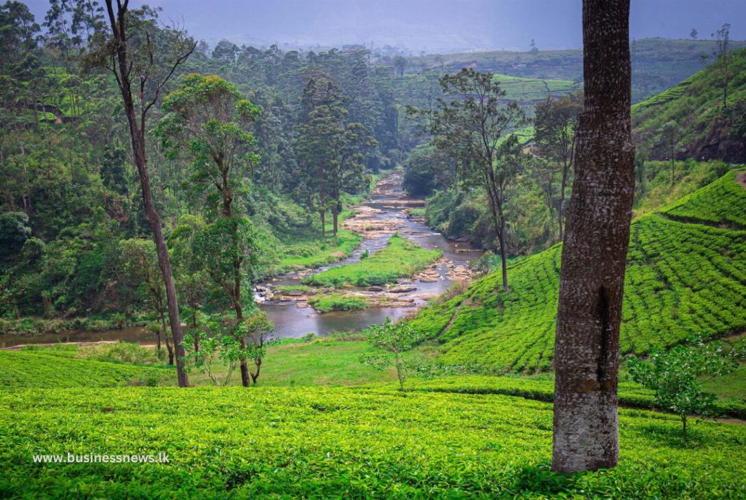 Horana Plantations PLC (HPL) - BusinessNews.LK