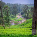 Horana Plantations PLC (HPL) - BusinessNews.LK