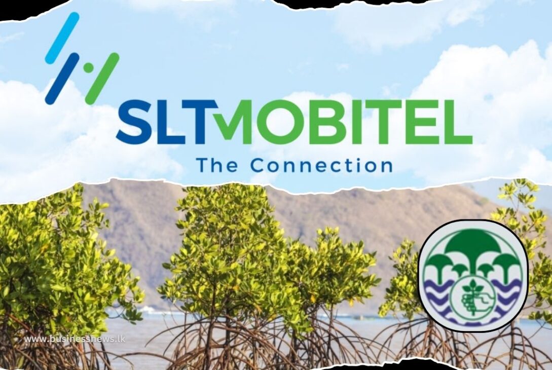 SLT-MOBITEL partners Forest Department for Mangrove Restoration Project - BusinessNews.LK