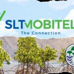 SLT-MOBITEL partners Forest Department for Mangrove Restoration Project - BusinessNews.LK