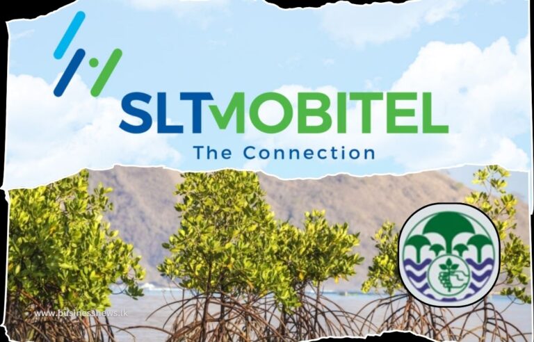 SLT-MOBITEL partners Forest Department for Mangrove Restoration Project - BusinessNews.LK