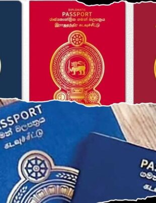 Sri Lankan Passport - BusinessNews.LK