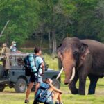 Tourism Needs 1.18mn More Arrivals to Reach 2.7mn 2026 Target