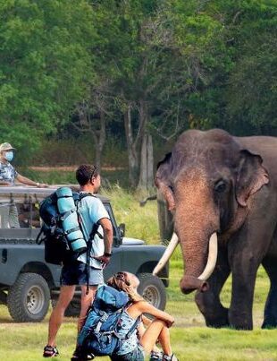 Tourism Needs 1.18mn More Arrivals to Reach 2.7mn 2026 Target