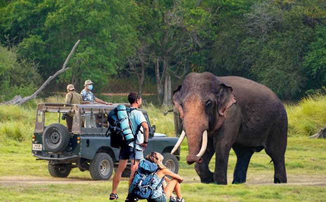 Tourism Needs 1.18mn More Arrivals to Reach 2.7mn 2026 Target