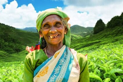 Agoda ranked Nuwara Eliya as the second top hill destination in Asia