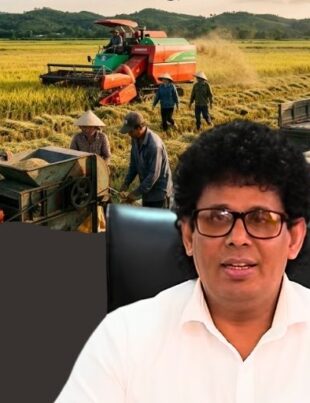 Government Sets New Guaranteed Paddy Prices for 2026 Yala Harvest