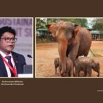 Pinnawala to Be Developed as Elephant Research and Breeding Centre
