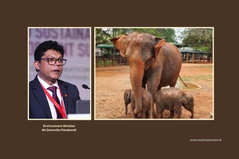 Pinnawala to Be Developed as Elephant Research and Breeding Centre