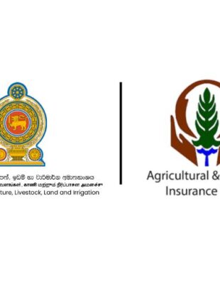 Agri Ministry Plans Insurance Cover for Mushroom Farmers