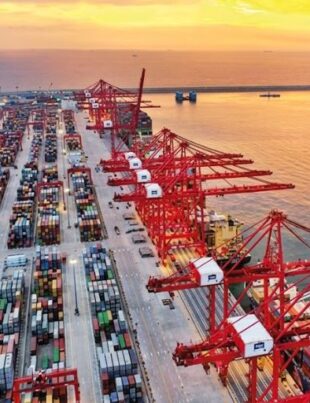 Colombo Port Climbs To 20th Globally As Container Volumes Rise 11.9%