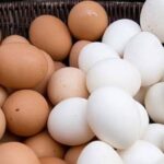 Egg Prices Rise as Producers Cite Feed Shortages and Lower Output