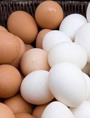 Egg Prices Rise as Producers Cite Feed Shortages and Lower Output
