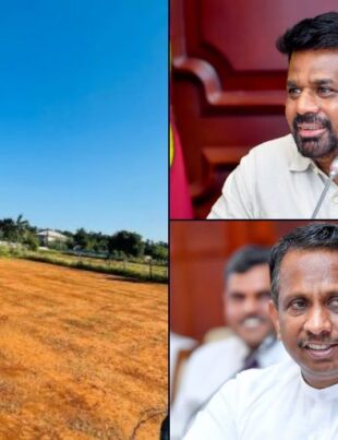 Government to Allocate Underutilized Land to Returning Migrant Workers