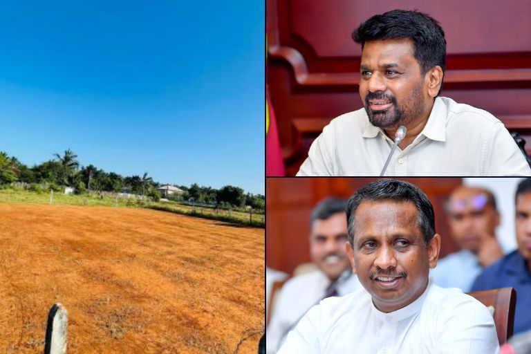 Government to Allocate Underutilized Land to Returning Migrant Workers