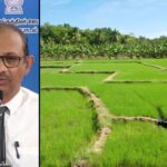 Paddy Marketing Board Starts Rs.16 Billion Paddy Purchasing Drive