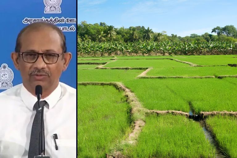 Paddy Marketing Board Starts Rs.16 Billion Paddy Purchasing Drive
