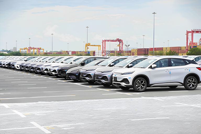 Hambantota International Port Handles 167,569 Vehicles From 2025 to September 2026