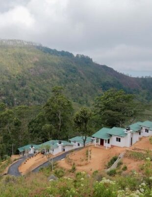 50 Landslide-Affected Families to Receive New Homes After Nearly 3.5 Years