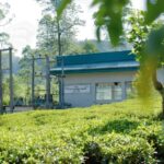 Coca-Cola Foundation Supports Hydropower-Powered Centre To Recycle Plastic And Create Livelihoods
