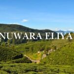 1,500 Hectares of Land in Nuwara Eliya to Get Protected Status