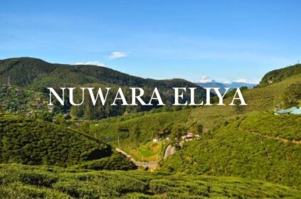 1,500 Hectares of Land in Nuwara Eliya to Get Protected Status