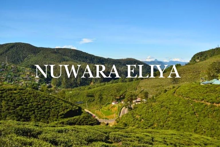 1,500 Hectares of Land in Nuwara Eliya to Get Protected Status