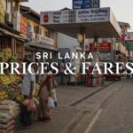 LP Gas Prices Cut as New Canned Fish Price Controls Take Effect From September 5