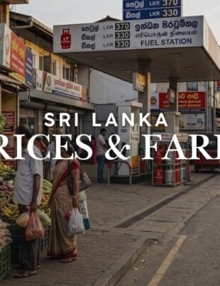 LP Gas Prices Cut as New Canned Fish Price Controls Take Effect From September 5